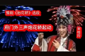 听豫剧花旦行看家戏，四十余年常盛不衰、逢喜必唱；观郑州金水路视频封面