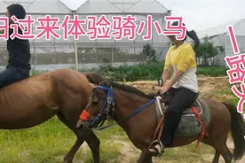 媳妇来体验骑小矮马，马一跑起来就惊叫连连，以后怎么敢骑大马？视频封面