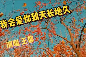 王馨一曲《我会爱你到天长地久》醉人的歌！青岛胶州少海公园南湖视频封面
