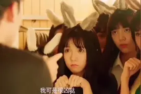 小伙儿捡的六只兔子，一夜之间全变成了美少女视频封面
