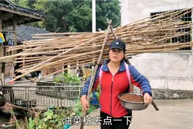 每天干不完的农活，小娟独自种大片油菜和补青菜，忙起来饭都没吃视频封面
