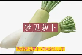 萝卜。视频封面