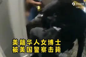 华人女博士的遭遇视频封面