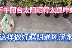 下午阳台太阳晒太狠了咋办，这样给兰花做好遮阴通风和浇水视频封面