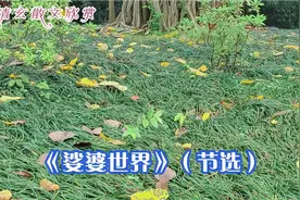 为什么我们这个世界被称为“ 娑婆世界 ”呢？林清玄这样解答……视频封面