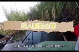 成人睡前故事视频封面
