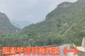 听说北京昌平白羊沟风景不错去看看真是没白来这里的山太漂亮了。视频封面