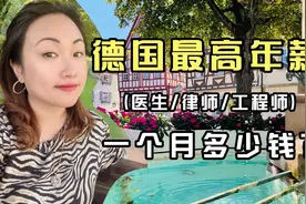 年薪40万人民币在德国属于什么水平？程序猿在德国可以赚多少钱视频封面