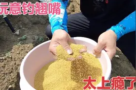 钓翘嘴，泡泡球才是王道，还能兼顾草鱼武昌简直一箭三雕！视频封面