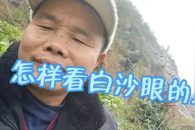 画眉鸟白沙眼怎么看，才知道好与不好视频封面