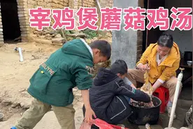 90后农村宝妈宰了只大阉鸡煲蘑菇鸡汤好有营养 适合孩子长身体吃视频封面