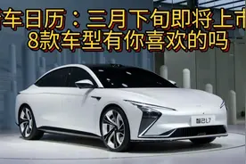 新车日历：三月下旬即将上市的8款车型有你喜欢的吗？视频封面