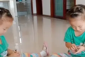 在吃松树籽视频封面