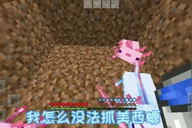 我的世界:今天教你们怎么抓美西螈(结尾有惊喜)