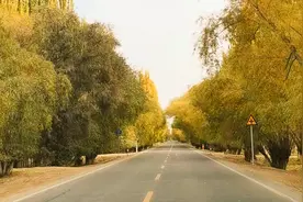 中国最安全的三个地方，你还会离开新疆新疆吗？视频封面