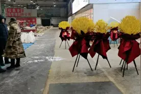 朋友你懂野山参吗？王哥带你深入了解什么品质的才算好的野山参。视频封面