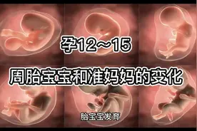 孕12～15周胎宝宝和孕妈妈的变化视频封面