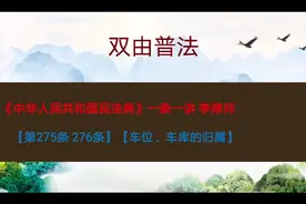 民法典【第275，276条】车位 车库的归属视频封面