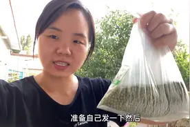婆婆拿绿豆泡4天3夜，第四天早上全家围着研究，最后得出结论有毒视频封面
