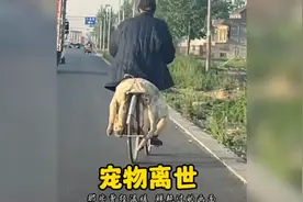 宠物离开，会有多难过？有人说:“养宠物就是埋下了伤心的种子”视频封面