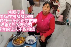 贪图便宜，老妈在拼多多网购几块钱一斤的老母鸡，便宜的不敢相信视频封面