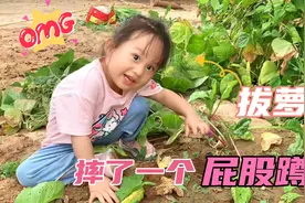 3岁萌娃第一次下地干活，力大无穷拔萝卜，趣事频发全家笑哈哈视频封面