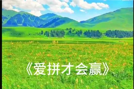 《爱拼才会赢》视频封面