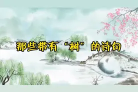 今天是植树节，让我们来看看那些带有树的诗句视频封面