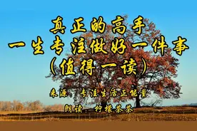 真正的高手，一生专注做好一件事视频封面