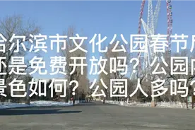 哈尔滨市文化公园春节后还是免费开放吗？公园内景色如何？视频封面