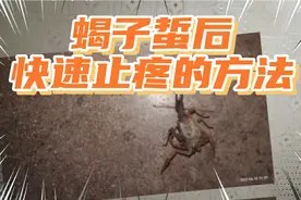 蝎子蜇后，快速止疼的方法，亲身经历，迫不及待的分享给大家。视频封面