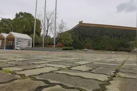 永远的怀念视频封面