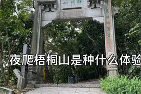 第三次爬梧桐山，这一次选择夜爬走秀桐道登顶上山视频封面