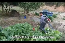 自制打虫药视频封面