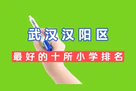武汉汉阳区最好的十所小学排名视频封面
