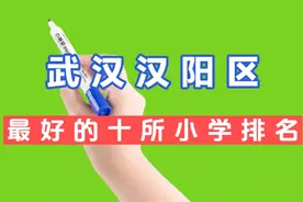 武汉汉阳区最好的十所小学排名视频封面