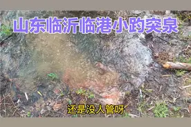山东临沂临港有个小趵突泉，泉水清澈见底，小河流水哗啦啦视频封面