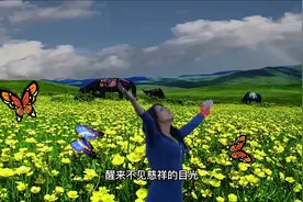 大自然是一切生命的摇篮视频封面