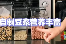 黄豆黑豆黎麦自制豆浆有利健康视频封面