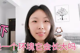 没有你的允许 带你回家 以后 我来照顾你视频封面
