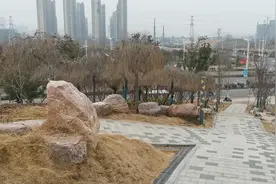 郑州高新区西三环翠竹街居然有一个公园！很不错的！视频封面
