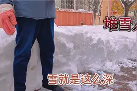 辽宁盘锦大雪过后，雪人堆的太有才了，市民素质高有序清理积雪视频封面