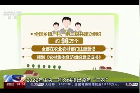 抓好粮食和重要农产品视频封面