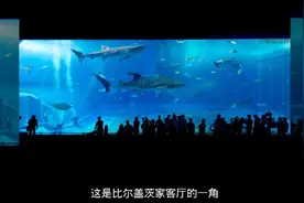 比尔盖茨豪宅里的能养鲸鲨的大鱼缸，还能叫鱼缸吗？视频封面