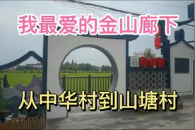 我喜欢的郊野公园：金山廊下，没有门票，停车免费，够野够原生态视频封面