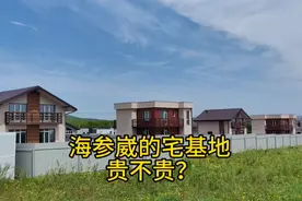 俄罗斯海参崴周边的宅基地，住宅新区开发，100元一平方贵不贵？视频封面