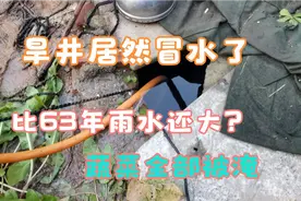 连续降雨，农村旱井竟然往外冒水，老人说比63年的雨水都大视频封面