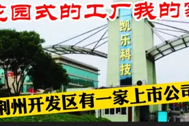 凯乐科技花园式工厂，荆州开发区的一家上市公司，看看环境有多美视频封面