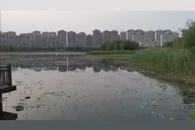 看着现在的华山湖，有点叫人痛心视频封面
