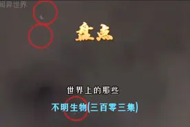 土耳其上空的诡异人脸预示着什么？盘点世界上的那些不明生物303视频封面
